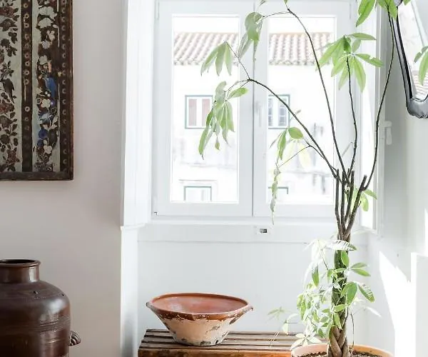 Alfama Terrace River And Historic View Spacious And Charming Ground Floor 18th Century Building *